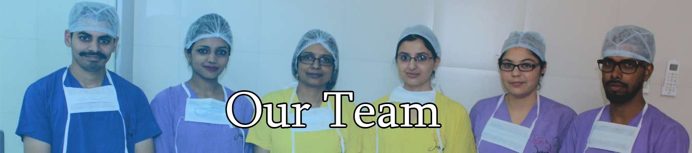 Our-Team