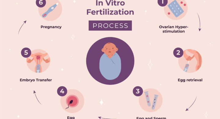 ivf-at-a-fertility-centre-in-punjab